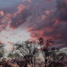 Схема вышивки «№1630639»