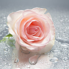 Схема вышивки «Роза 3D»