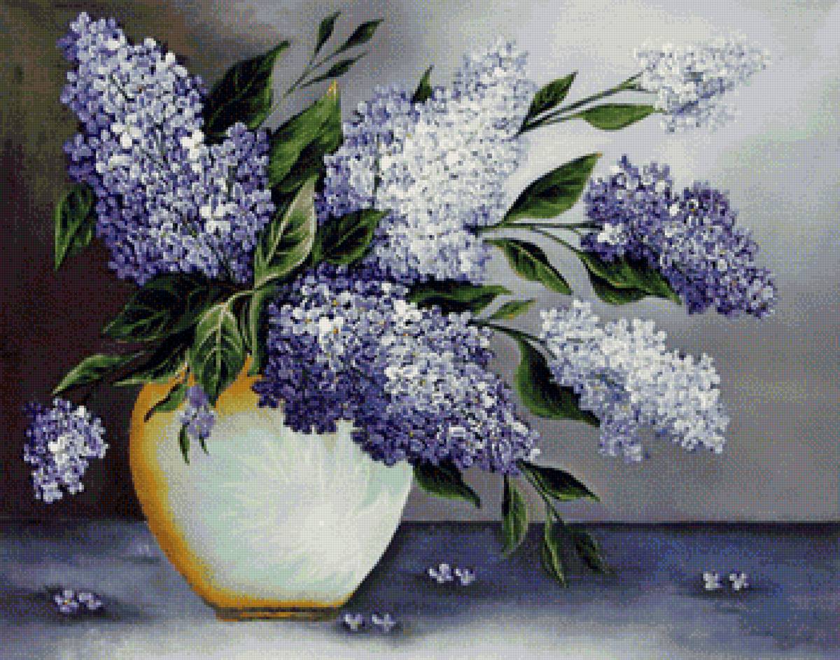 Сирень 3 - цветы сирень, букет - предпросмотр