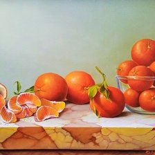 Схема вышивки «№1631084»