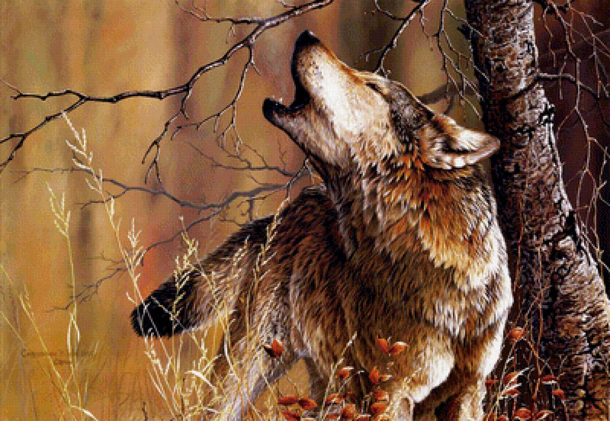 волчья песня - животные, картина, природа - предпросмотр