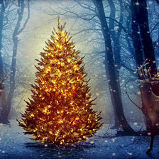 Схема вышивки «Олени в лесу»