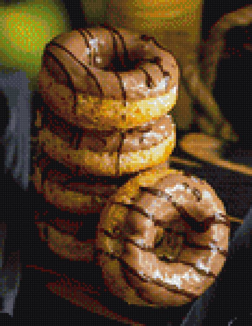 пончики - предпросмотр