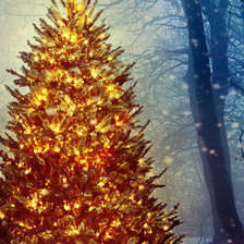 Схема вышивки «Триптих олень 2»