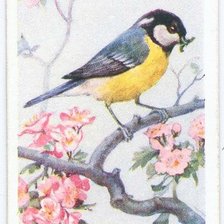 Схема вышивки «обед»