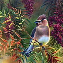 Схема вышивки «№1631432»