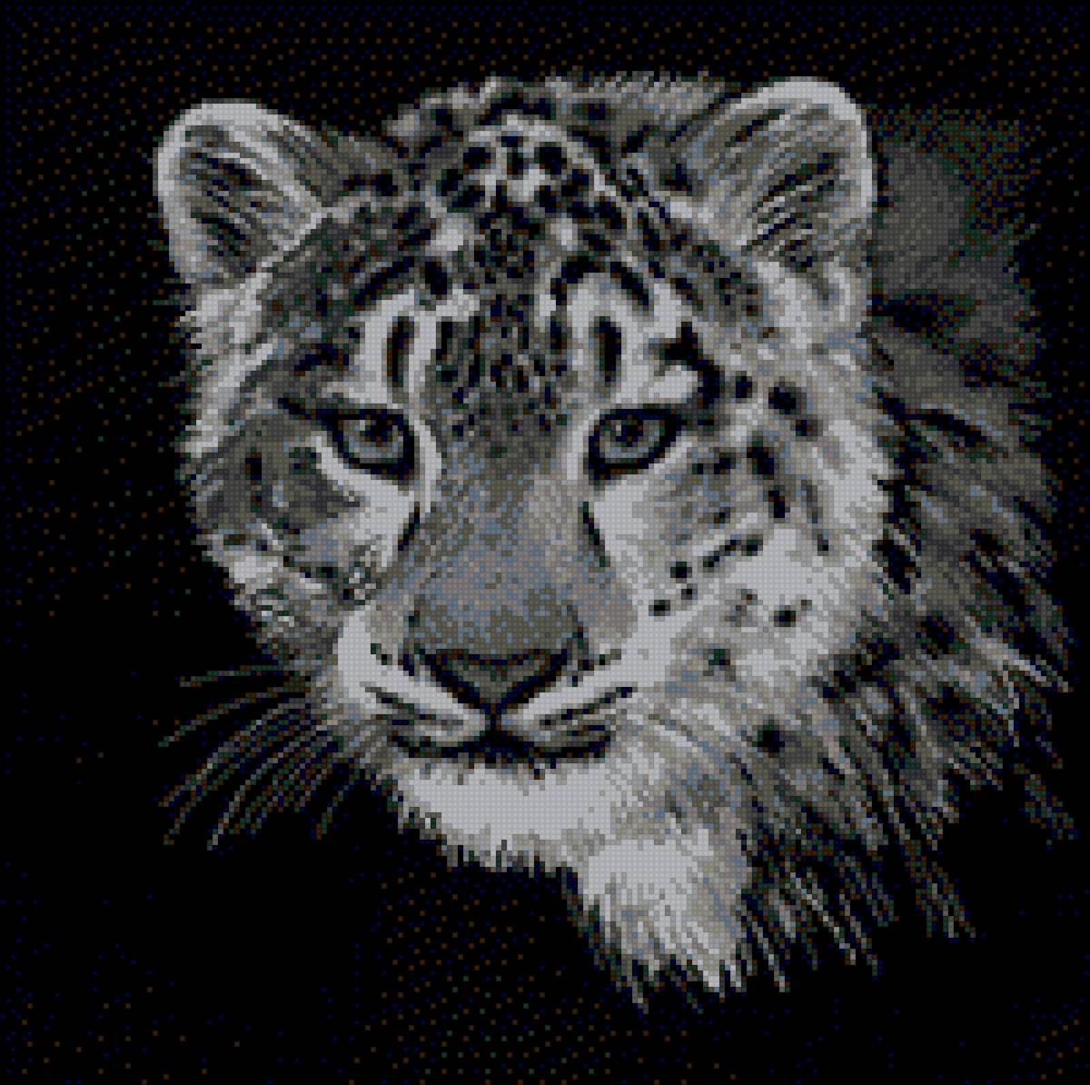 тигра - предпросмотр