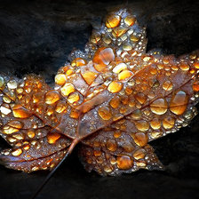 Схема вышивки «№1631607»