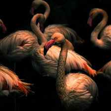 Схема вышивки «№1631618»