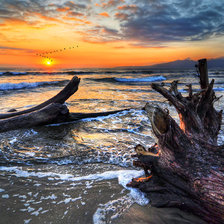 Схема вышивки «№1631698»