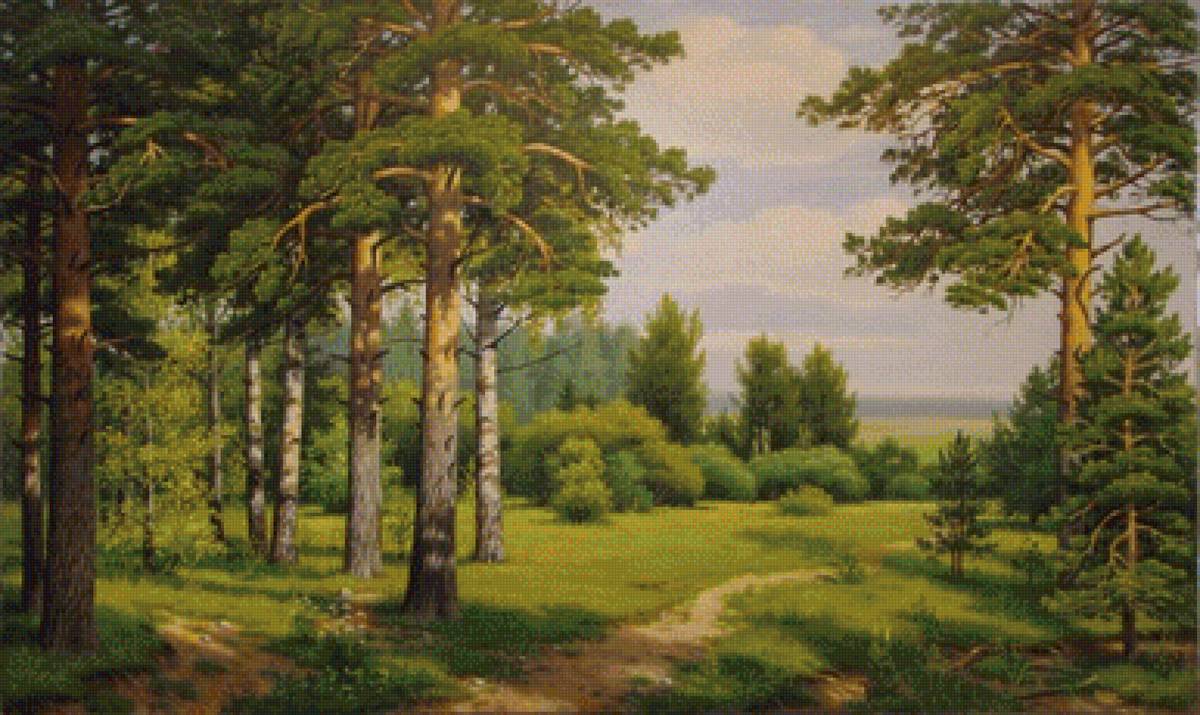 №1631992 - тропинка, небо, лес, облака, сосны - предпросмотр