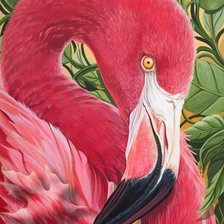 Схема вышивки «Розовый фламинго»