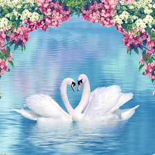 Схема вышивки «лебеди в цветах»