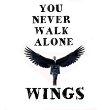 Схема вышивки «BTS WINGS»