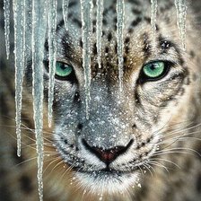 Схема вышивки «Взгляд»