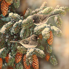 Схема вышивки «птицы зимой»