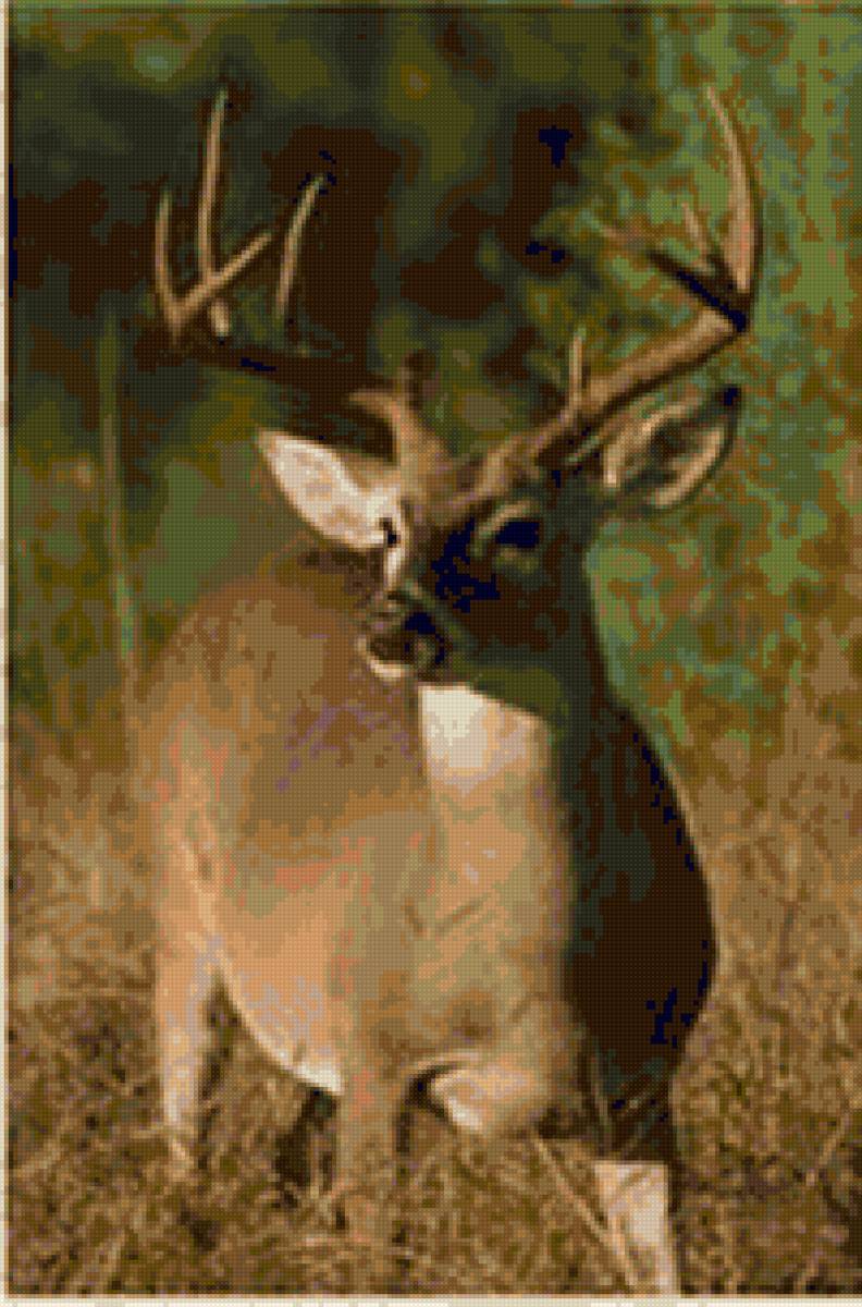 111 - 111 - предпросмотр