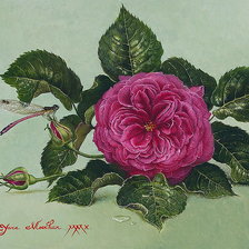 Схема вышивки «№1633158»