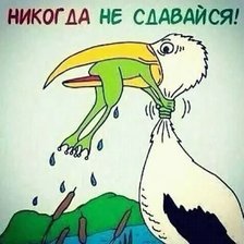 Схема вышивки «Никогда не сдавайся»