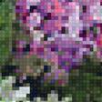 Предпросмотр схемы вышивки «Сирень 6» (№1633475)