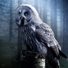 Схема вышивки «№1633922»