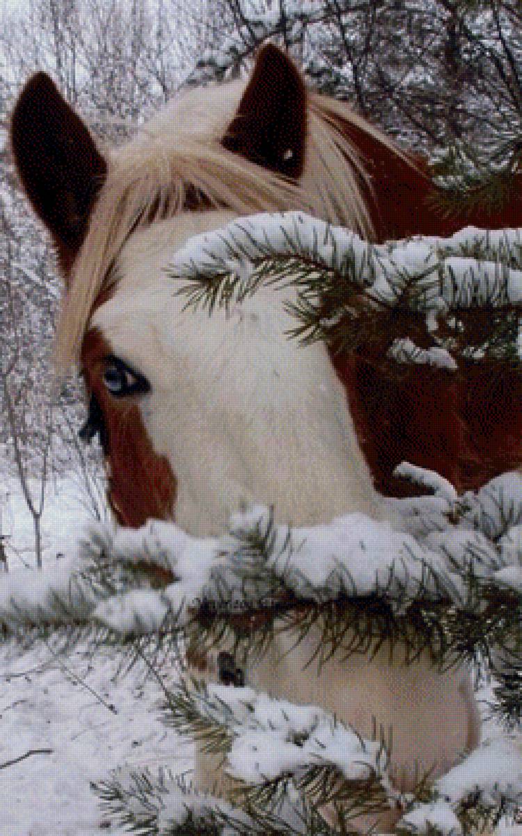 зимняя лошадка - предпросмотр