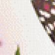 Предпросмотр схемы вышивки «№1634215»