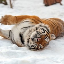 Схема вышивки «№1634234»