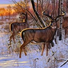 Схема вышивки «№1634245»