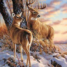 Схема вышивки «para jeleni»