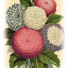 Схема вышивки «№1634565»