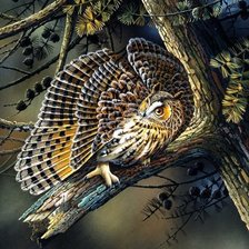 Схема вышивки «Сова»