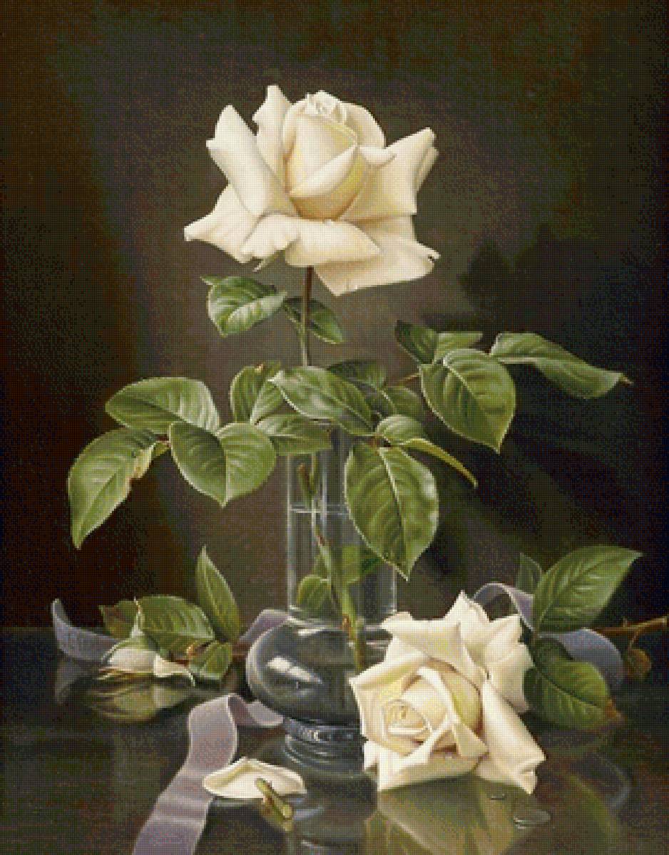 Белые розы - цветы, розы - предпросмотр