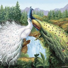 Схема вышивки «Павлины»