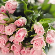 Схема вышивки «розы»