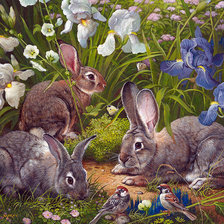 Схема вышивки «№1635343»