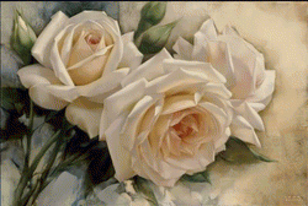 Белые розы - предпросмотр