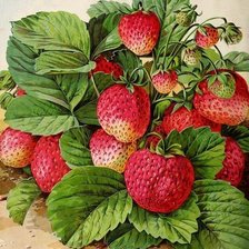 Схема вышивки «№1635595»