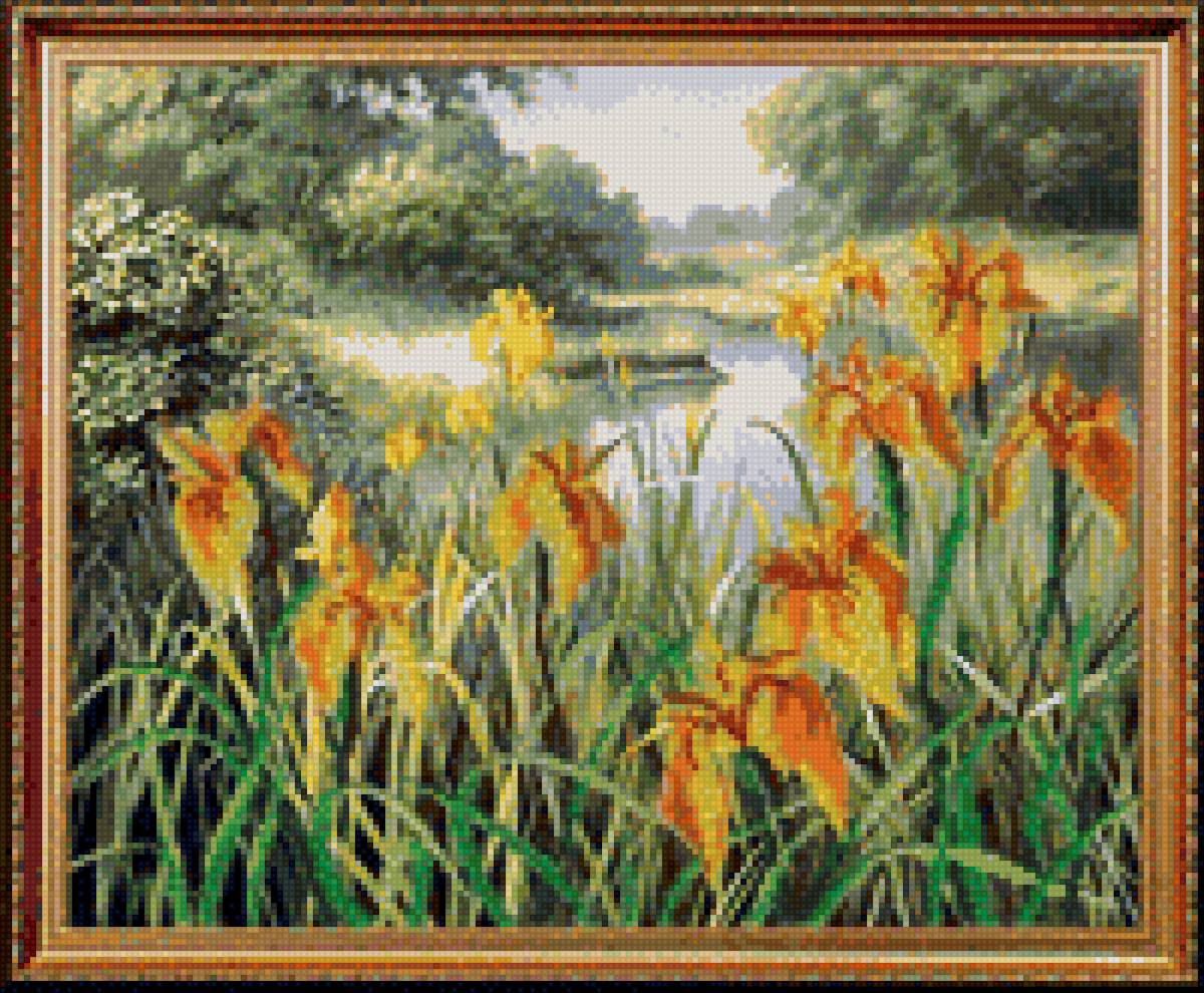 ирисы у воды - цветы - предпросмотр