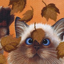 Схема вышивки «котик»