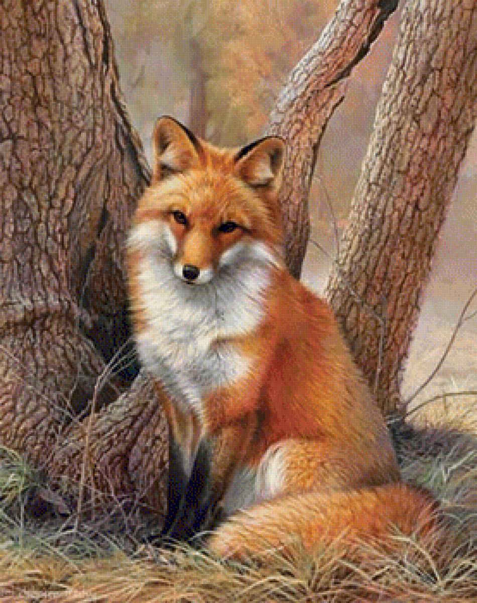 lis - предпросмотр