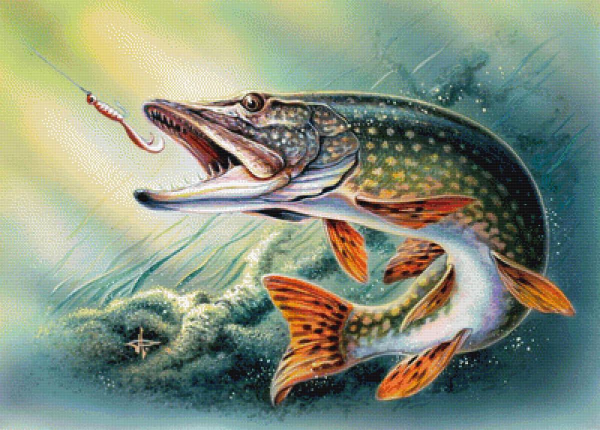 на крючке - рыба, щука - предпросмотр