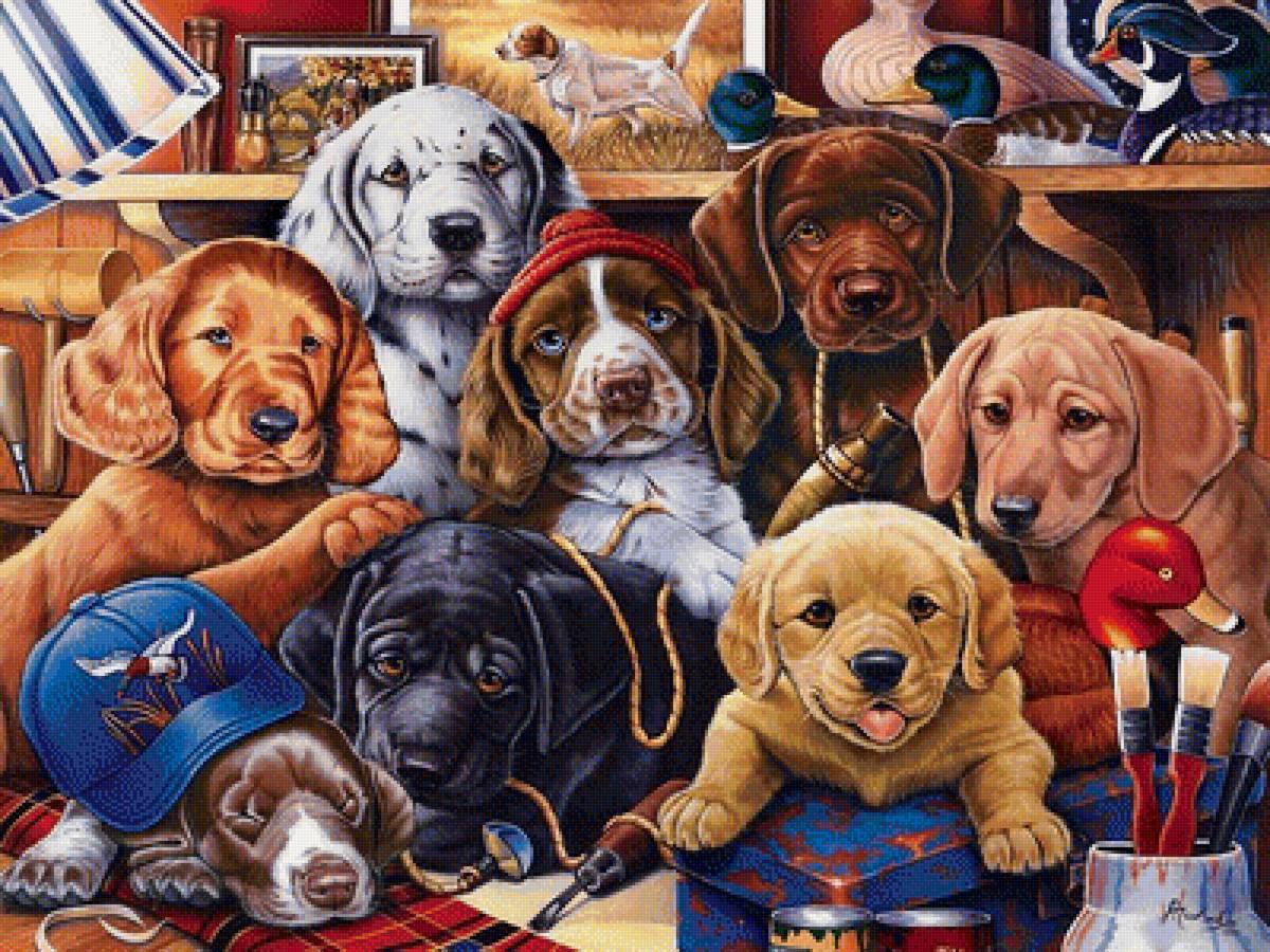 щенята - собаки - предпросмотр