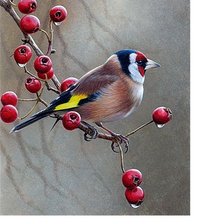 Схема вышивки «№1636339»