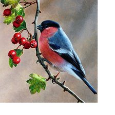 Схема вышивки «№1636340»