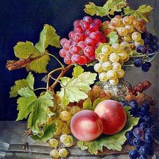 Схема вышивки «№1636419»