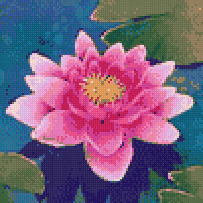 Лотос - цветы, лотос, восток, азия, китай - предпросмотр