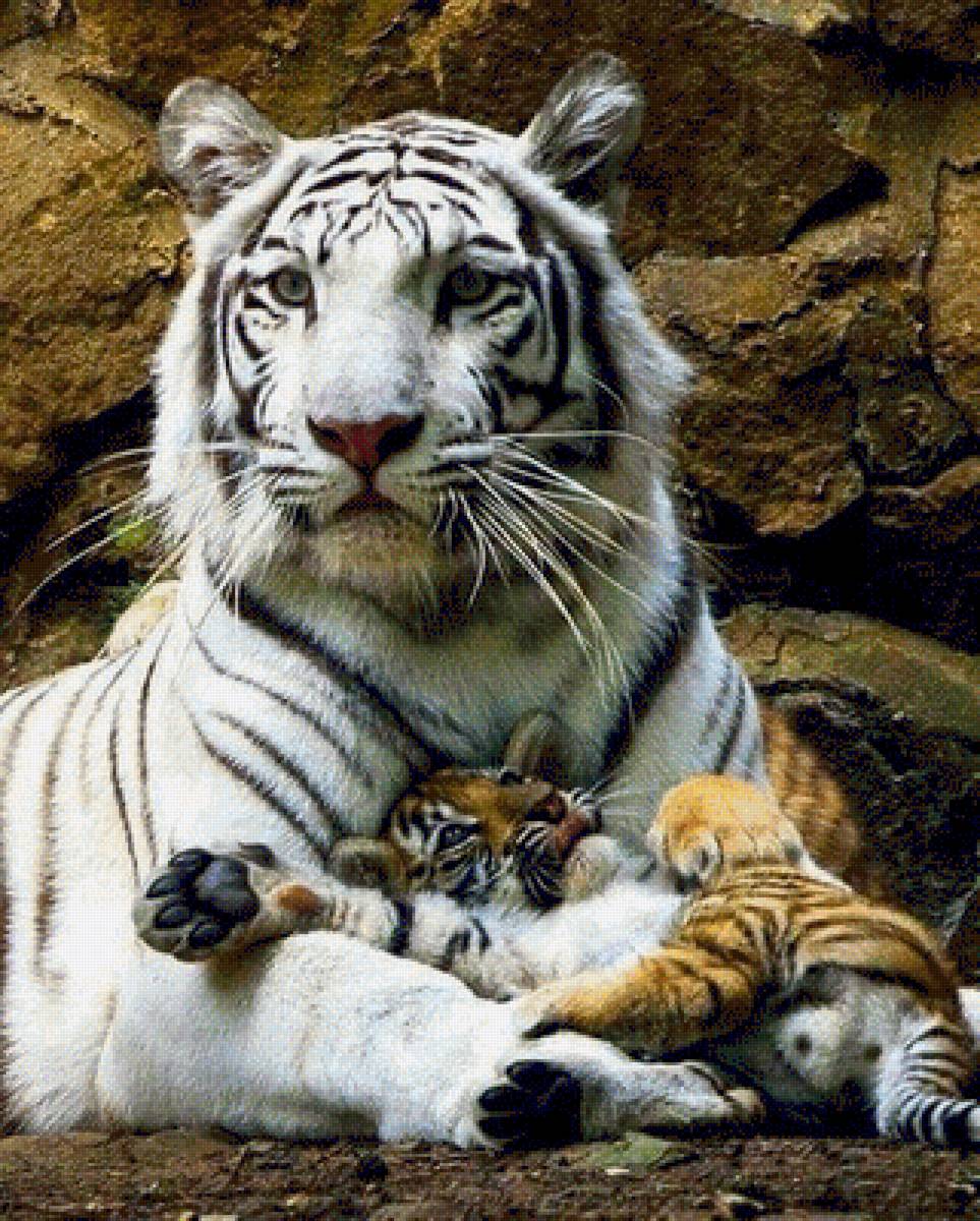 Máma - предпросмотр