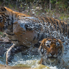 Схема вышивки «Игра»