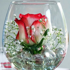 Схема вышивки «нежность»